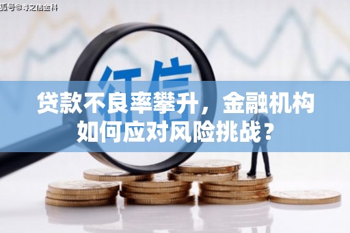 察右中旗贷款不良率攀升，金融机构如何应对风险挑战？