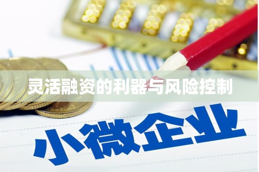 察右中旗灵活融资的利器与风险控制