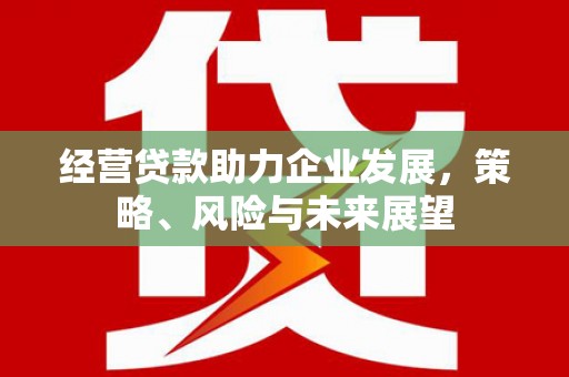 察右中旗经营贷款助力企业发展，策略、风险与未来展望