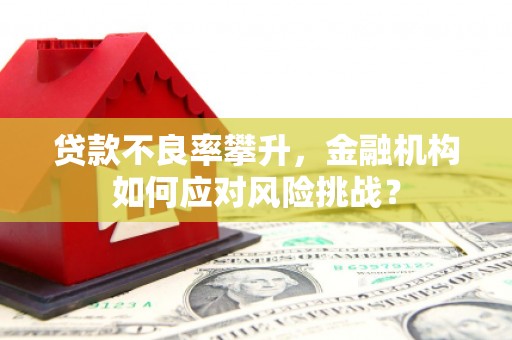 察右中旗贷款不良率攀升，金融机构如何应对风险挑战？